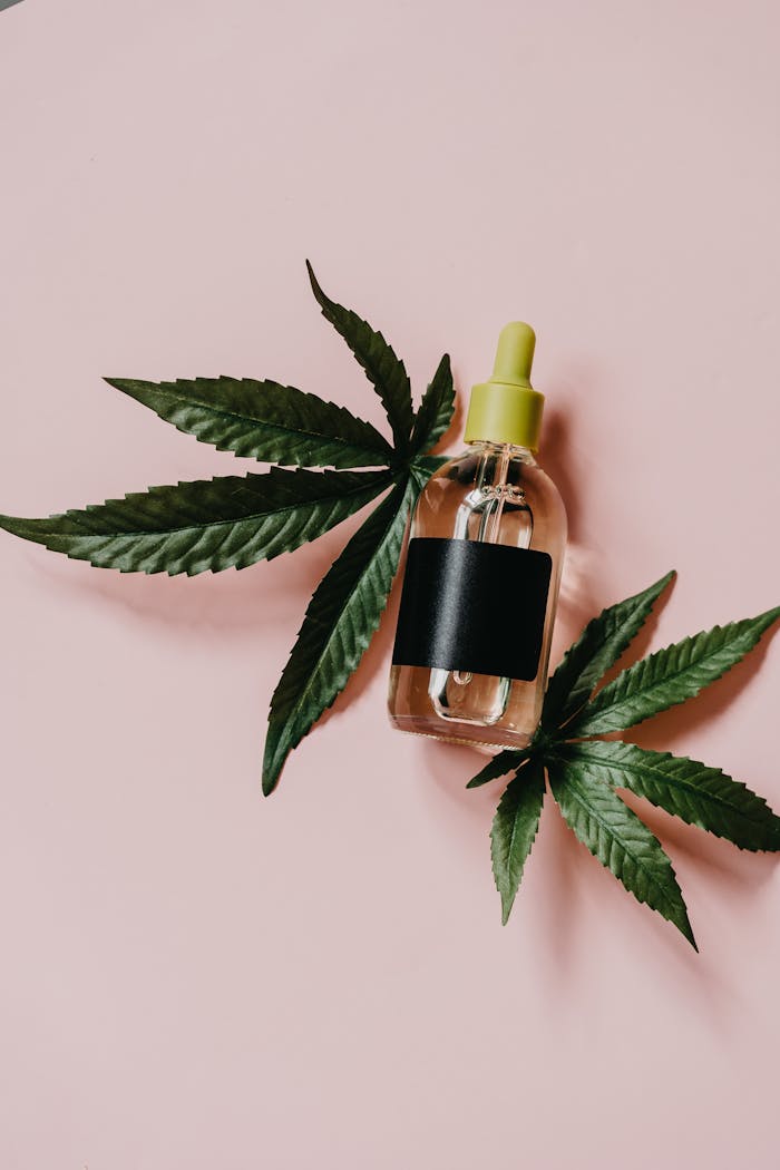 Services Glass dropper bottle with CBD oil surrounded by cannabis leaves on a pink surface.